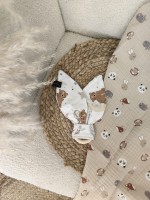 Μασητικός Κρίκος Οδοντοφυΐας Dreamy